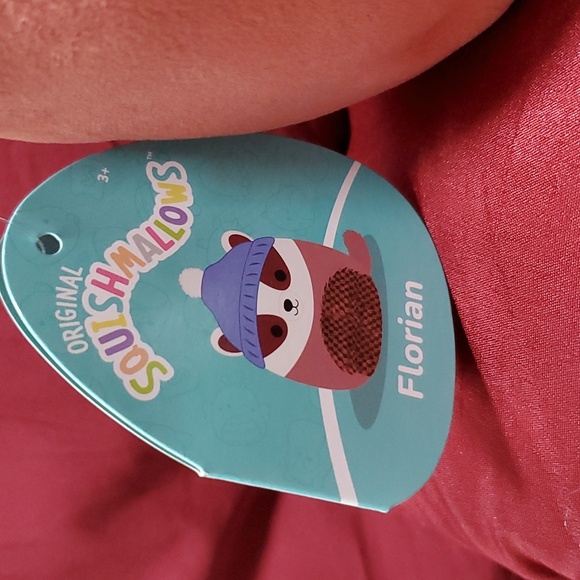 Florian the Badger 8" Squishmallow - Picture 3 of 4